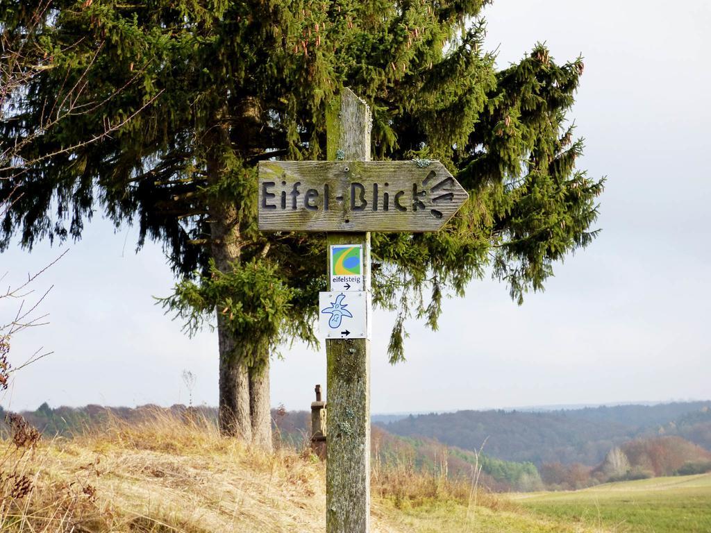 Relaxen Am Nationalpark Eifel Villa Ahrhutte Bagian luar foto